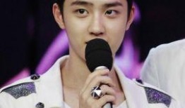 吴亦凡韩国爆料视频,娱乐圈背后的惊人真相